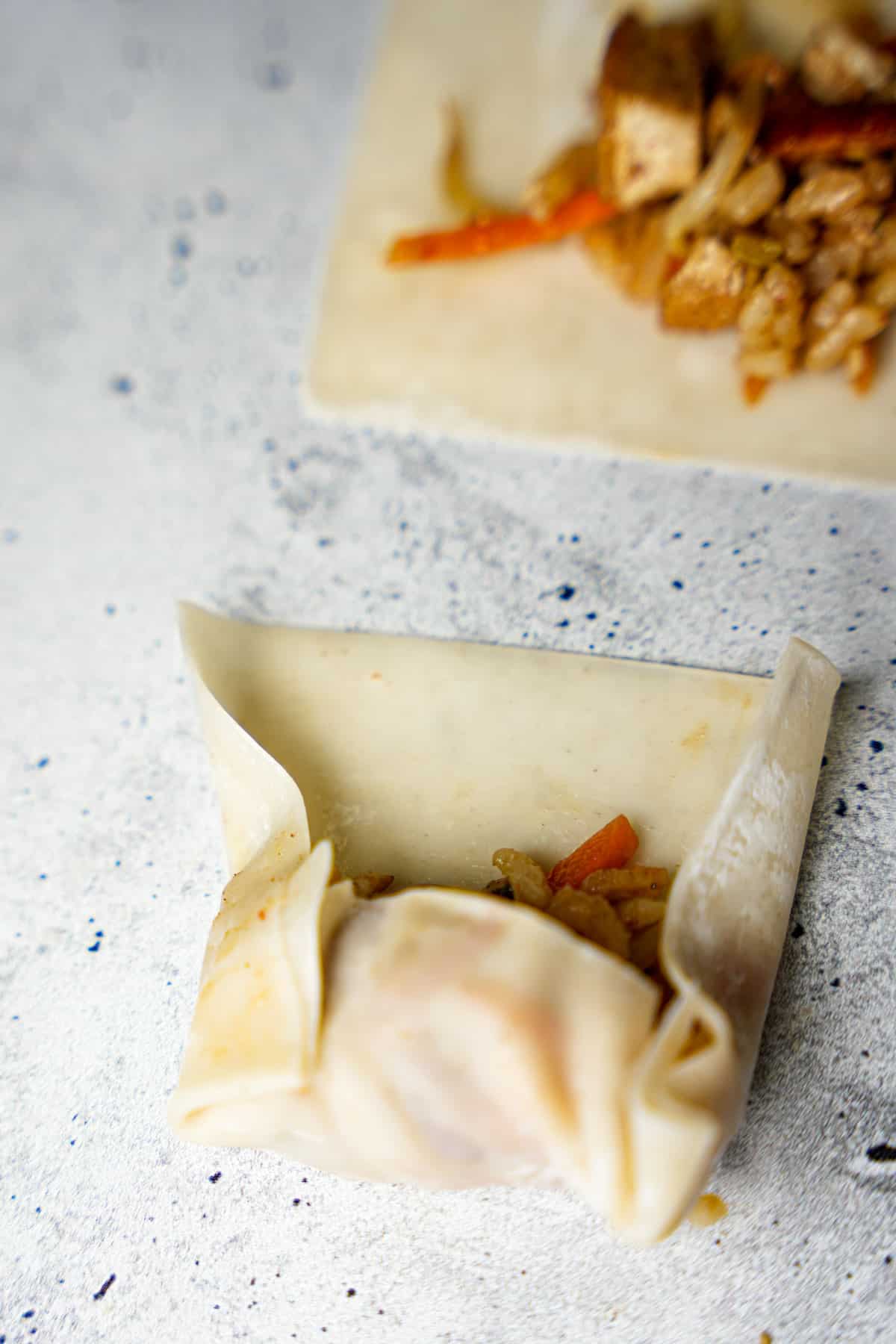 wonton is folded from the bottom and sides to form the rice dumplings.