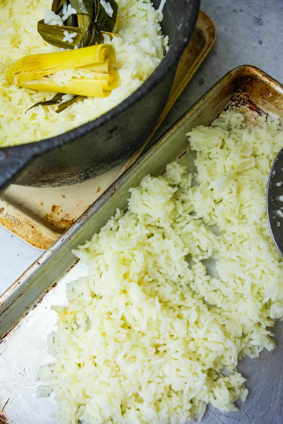 COoked rice is spread out onto a metal tray to cool. This makes handling and shaping the rice easier than dealing with it when it's hot.