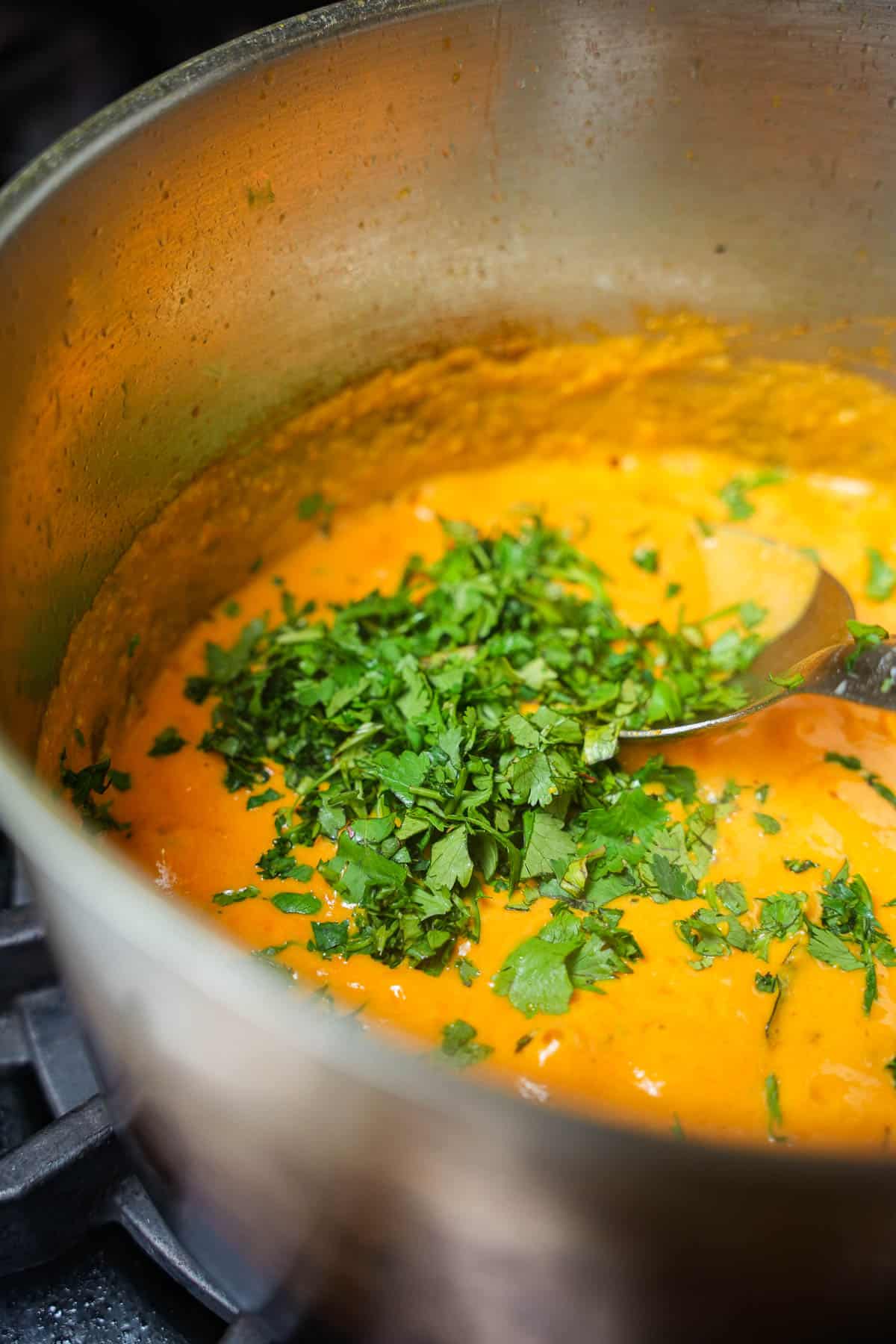 Cilantro added to the curry in a stainless pot on the stove.