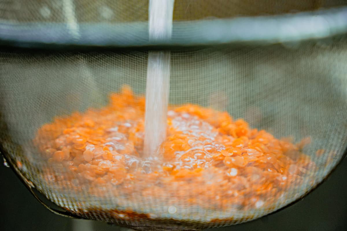Lentils are being rinsed under cold running water in a fine mesh strainer.