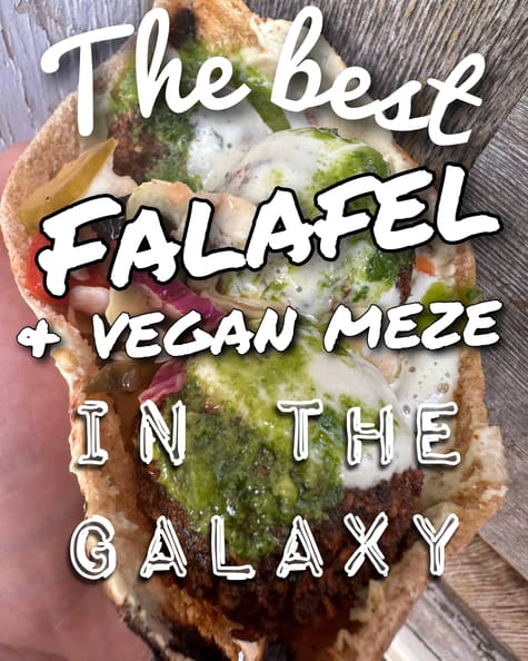 a juicy looking falafel, overlaid with the text "The best falafel and vegan meme in the galaxy"