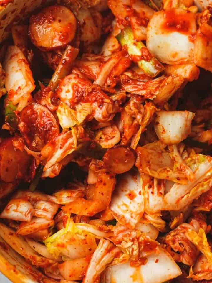 Mixed kimchi in a bowl before fermentation