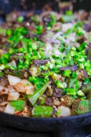 Punjabi Bhindi Dry Recipe (North Indian Fried Okra) - Cinnamon Snail