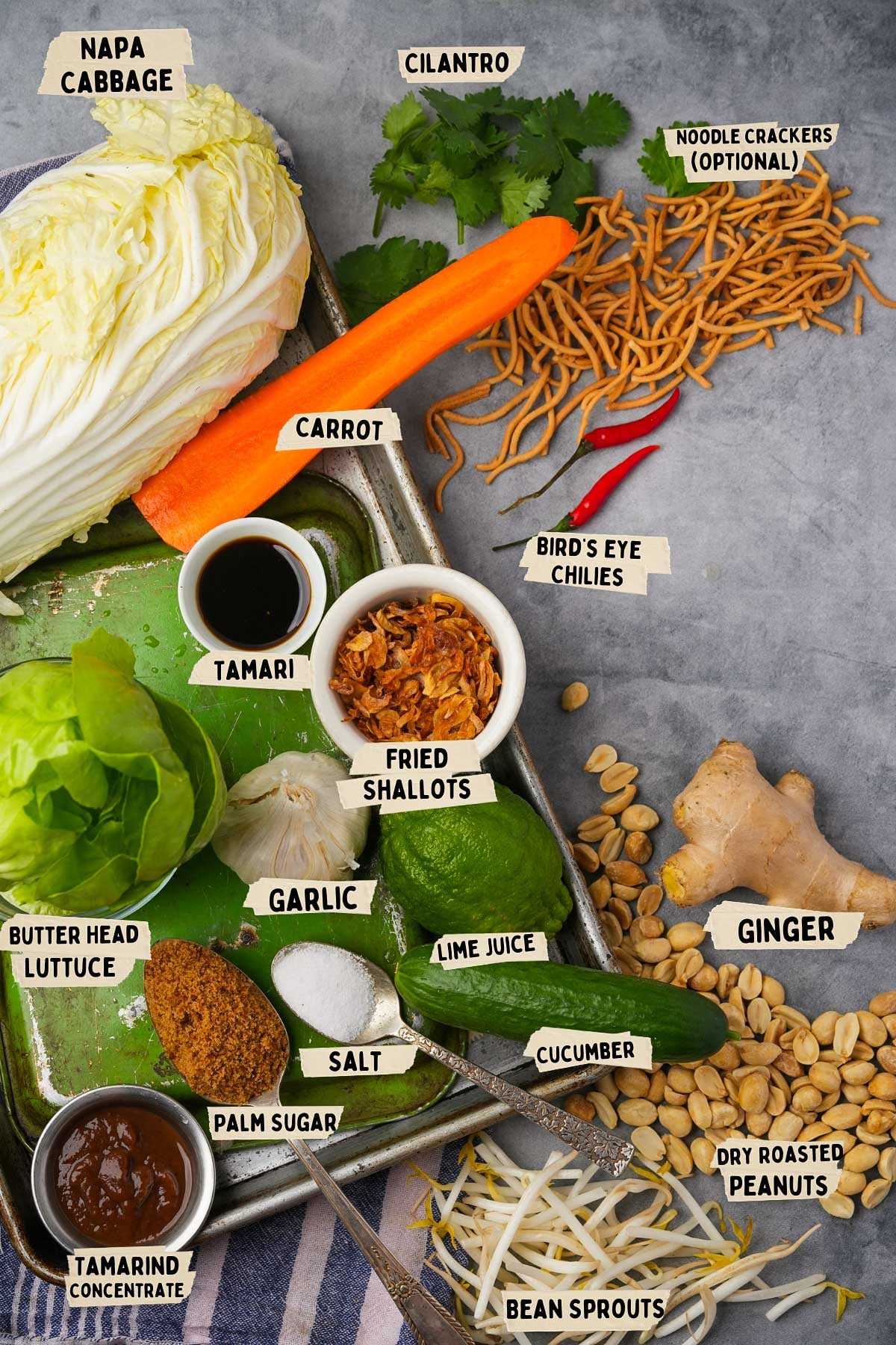 Assorted ingredients for Asinan Sayur salad, featuring napa cabbage, carrot, cilantro, ginger, garlic, lime juice, cucumber, bean sprouts, and various seasonings neatly arranged on a tray.