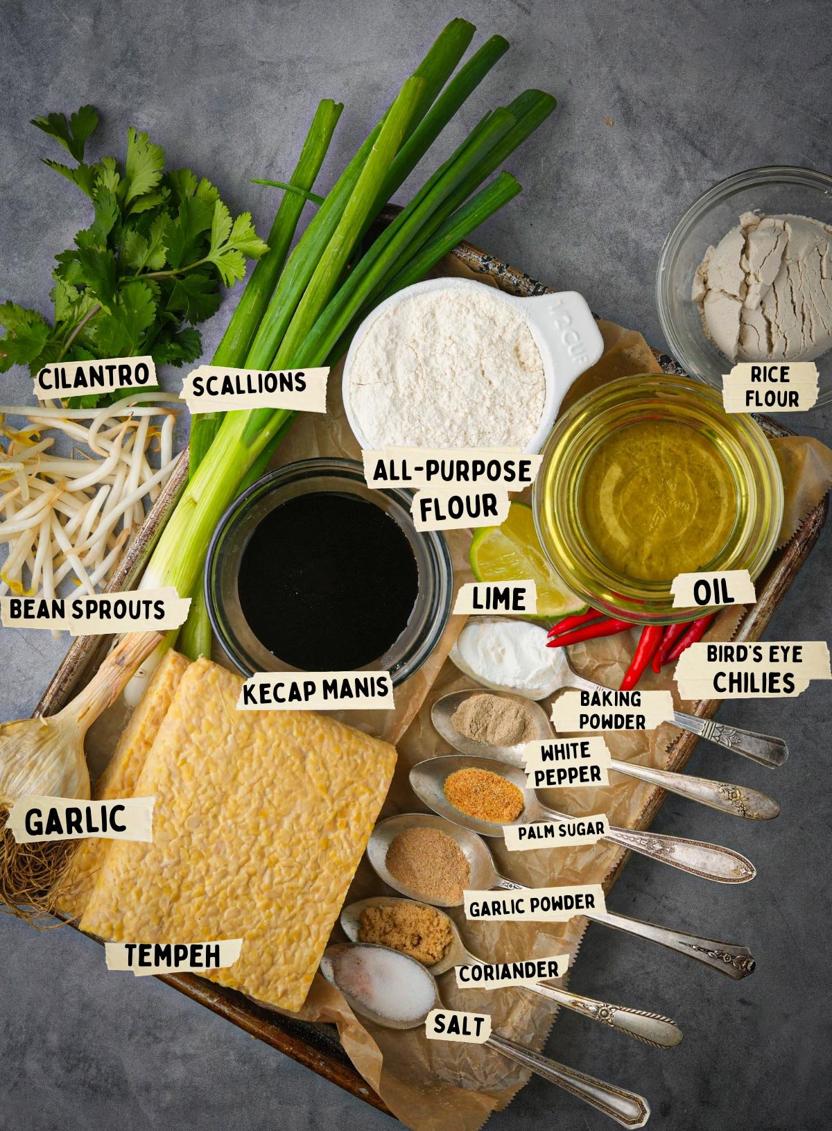 Ingredients for Tempe Mendoan dish are neatly arranged on a tray, featuring tempeh, cilantro, scallions, bean sprouts, flours, kecap manis, lime, garlic, chilies, spices, oil, and palm sugar.
