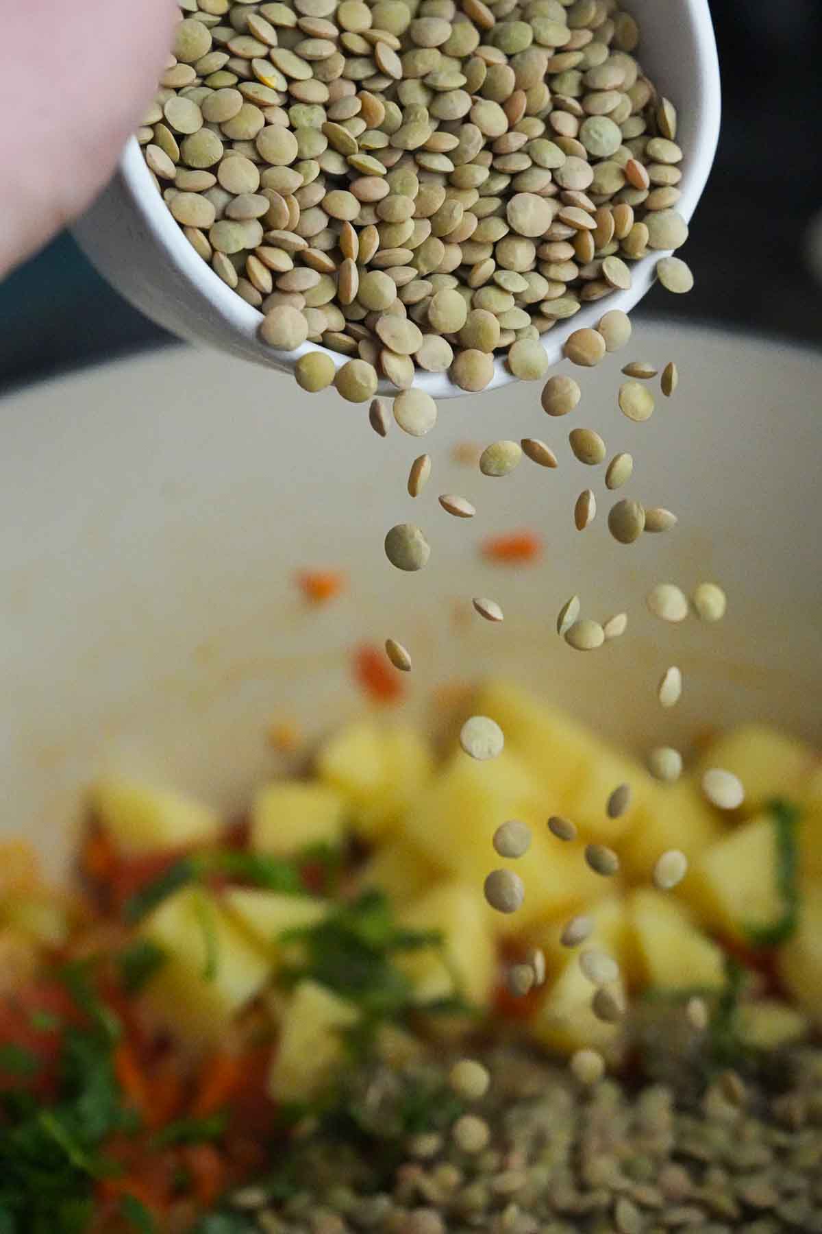 A person is pouring lentils into a pot of sautéing vegetables.