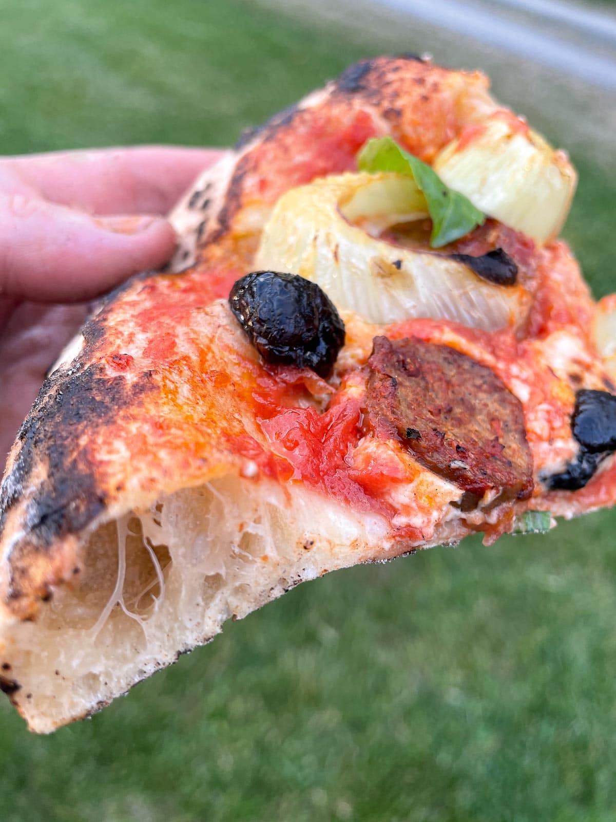 A person holding a slice of pizza with olives and vegan pepperoni.