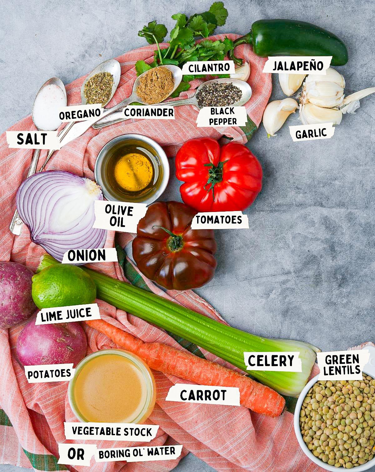 A collection of vegetables, spices, and other ingredients perfect for a Mexican lentil soup, including tomatoes, onion, celery, carrot, green lentils, jalapeño, garlic, cilantro, olive oil, and seasonings arranged on a pink cloth.