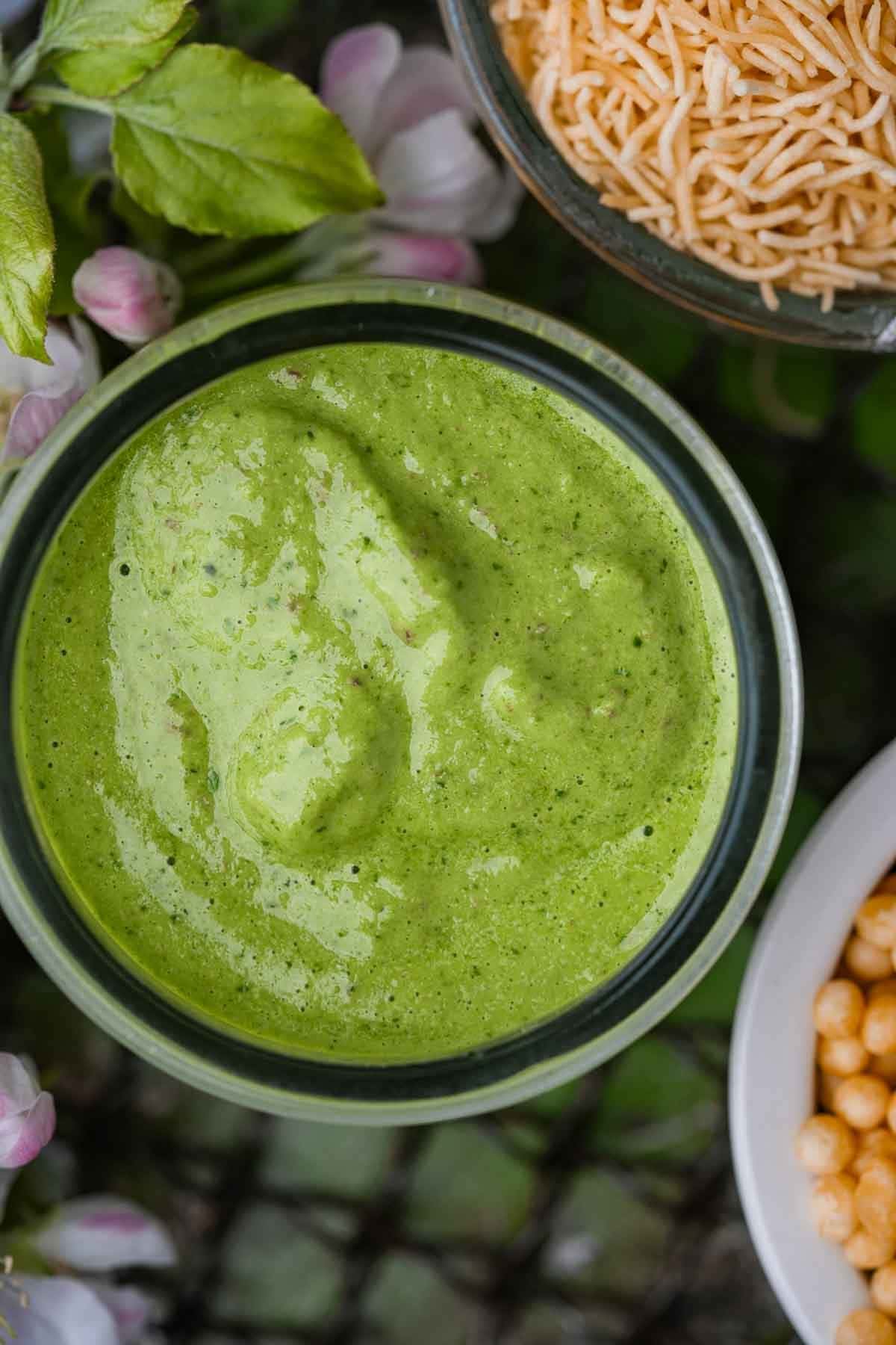 Top view of a bowl of creamy green chutney, surrounded by bowls of sev and chickpeas, set on a garden background.