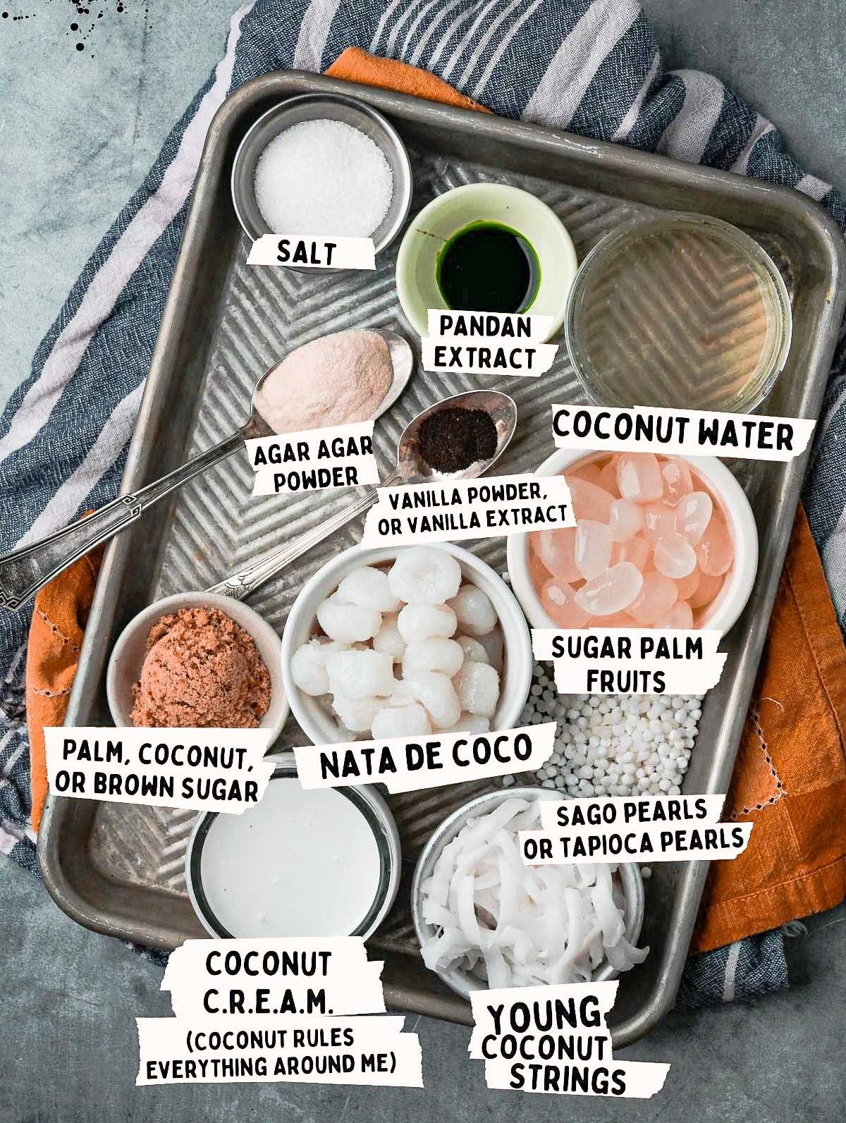 A tray containing various ingredients labeled: salt, pandan extract, coconut water, sugar palm fruits, sago pearls or tapioca pearls, vanilla powder or extract, agar agar powder, coconut cream, nata de coco, palm/coconut/brown sugar, young coconut strings for a delicious buko pandan.