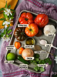 Spicy Roasted Habanero Salsa Recipe - Cinnamon Snail