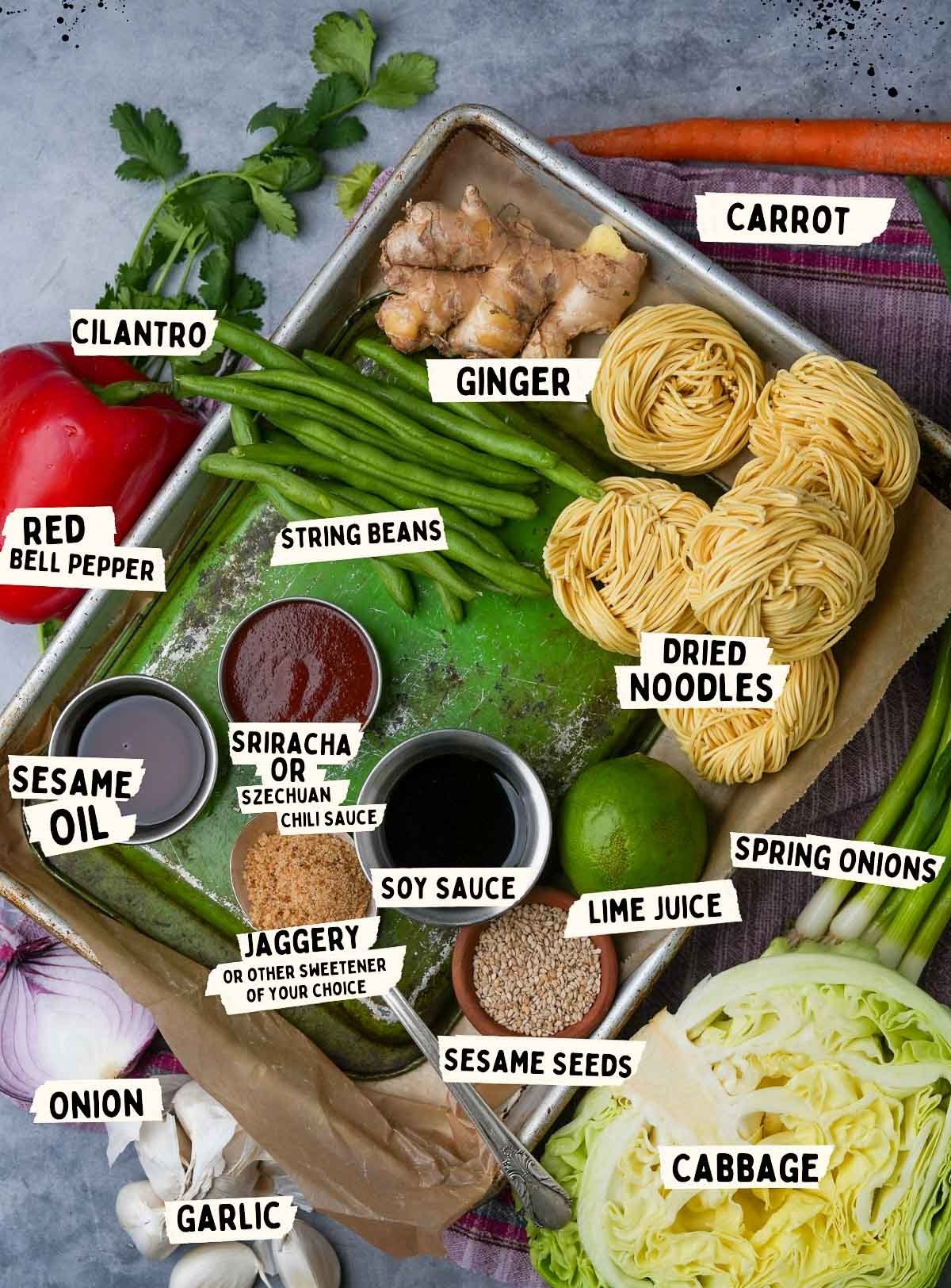 Ingredients for for veg hakka noodles is meticulously arranged on a surface, featuring cilantro, ginger, carrot, red bell pepper, string beans, dried noodles perfect for Hakka Noodles, sriracha, soy sauce, lime juice, spring onions, cabbage, and more.