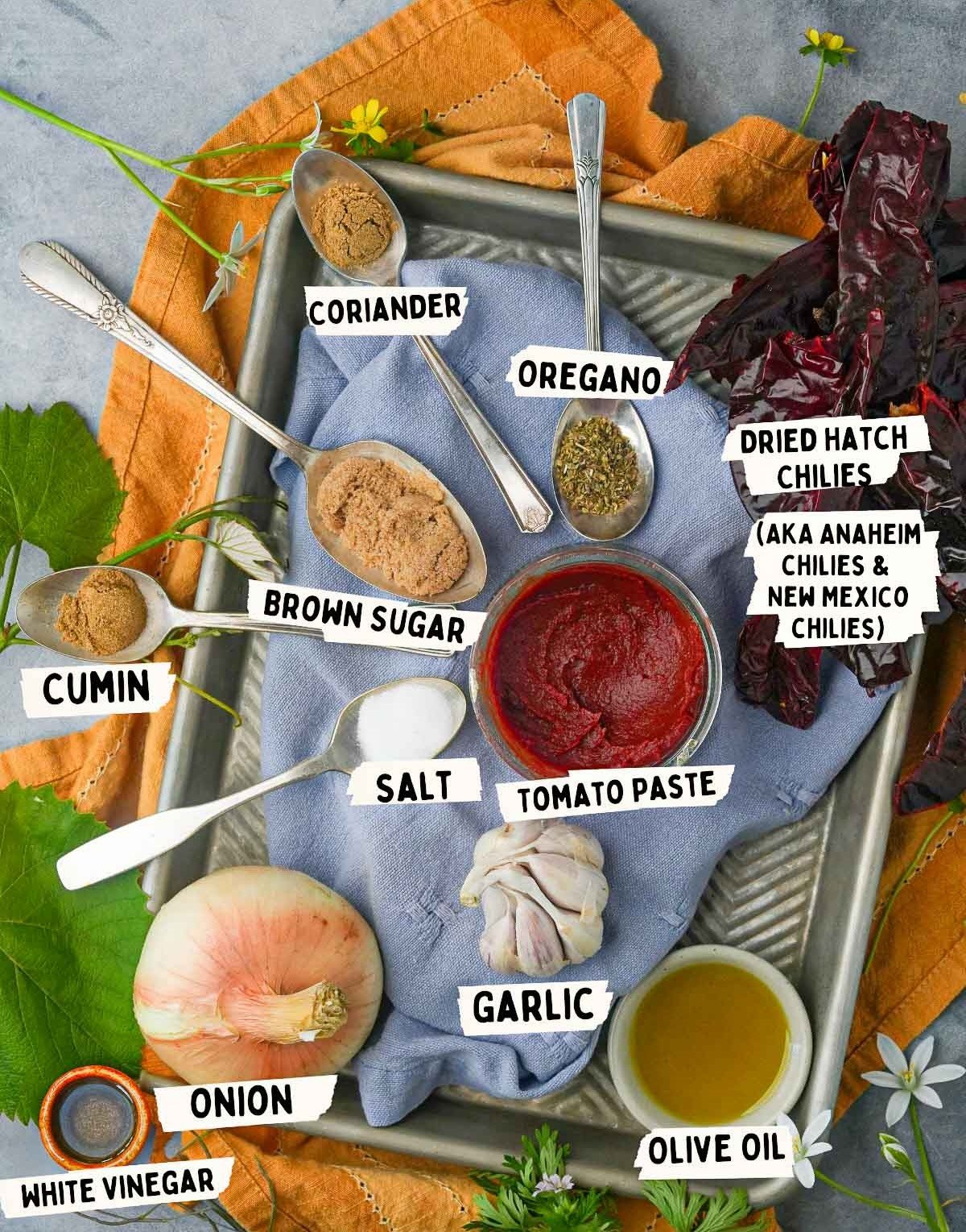 Baking tray with labeled ingredients: coriander, oregano, dried hatch chilies, cumin, brown sugar, salt, tomato paste, garlic, olive oil, onion, white vinegar - all essentials for a perfect red chili sauce - placed on a blue cloth.