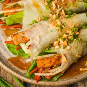 Fresh lumpiang sariwa rolls filled with lettuce, carrots, tofu, and fresh herbs, topped with chopped peanuts and green onions, served with a drizzle of brown sauce on a rustic plate.