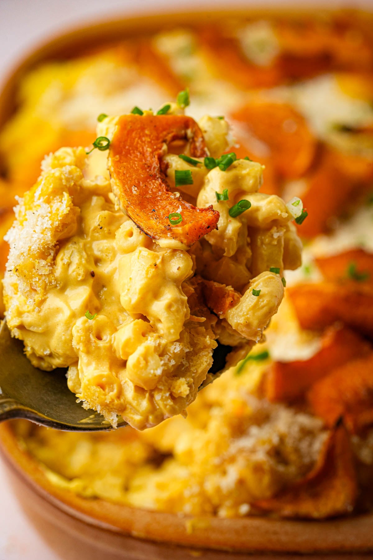 Vegan butternut squash mac and cheese