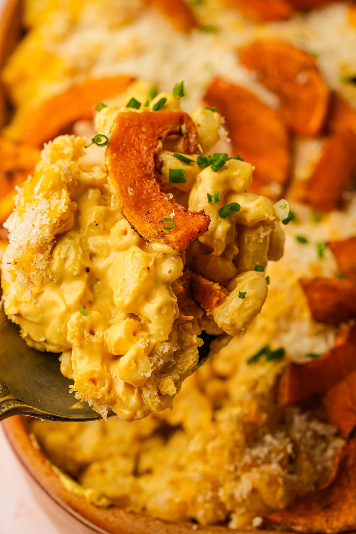 A close-up of a spoonful of creamy vegan butternut squash macaroni and cheese topped with roasted pumpkin slices, chopped chives, and a crispy breadcrumb topping.