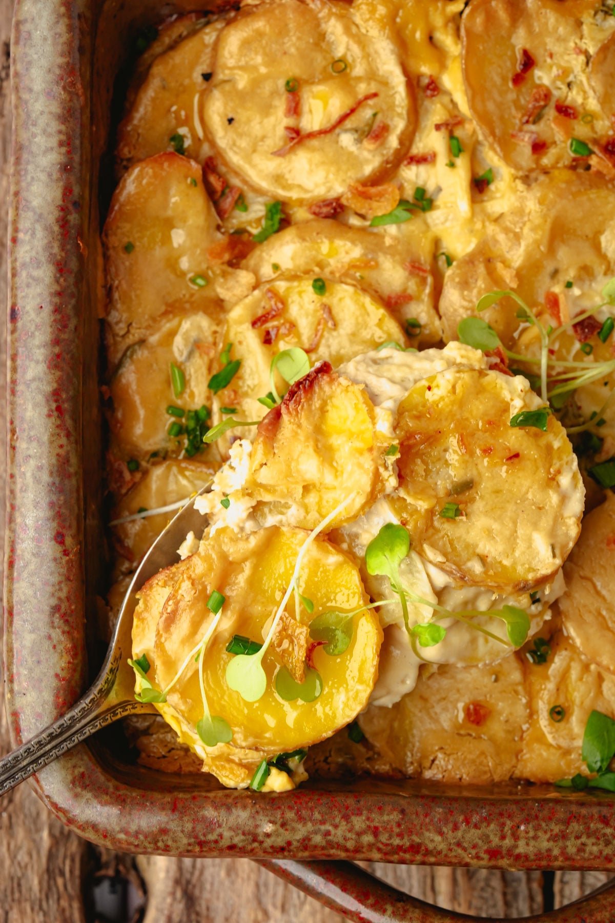 A close-up of cheesy vegan scalloped potatoes in a rustic baking dish, with a serving spoon lifting a portion. The dish is garnished with fresh herbs and has a golden, bubbly top.