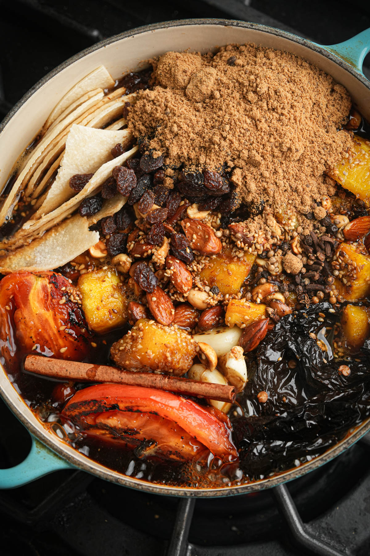 A pot filled with a variety of ingredients for mole poblano, including brown sugar, raisins, nuts, seeds, dried chili peppers, tomatoes, plantain slices, cinnamon sticks, and other spices, all uncooked and arranged in layers.