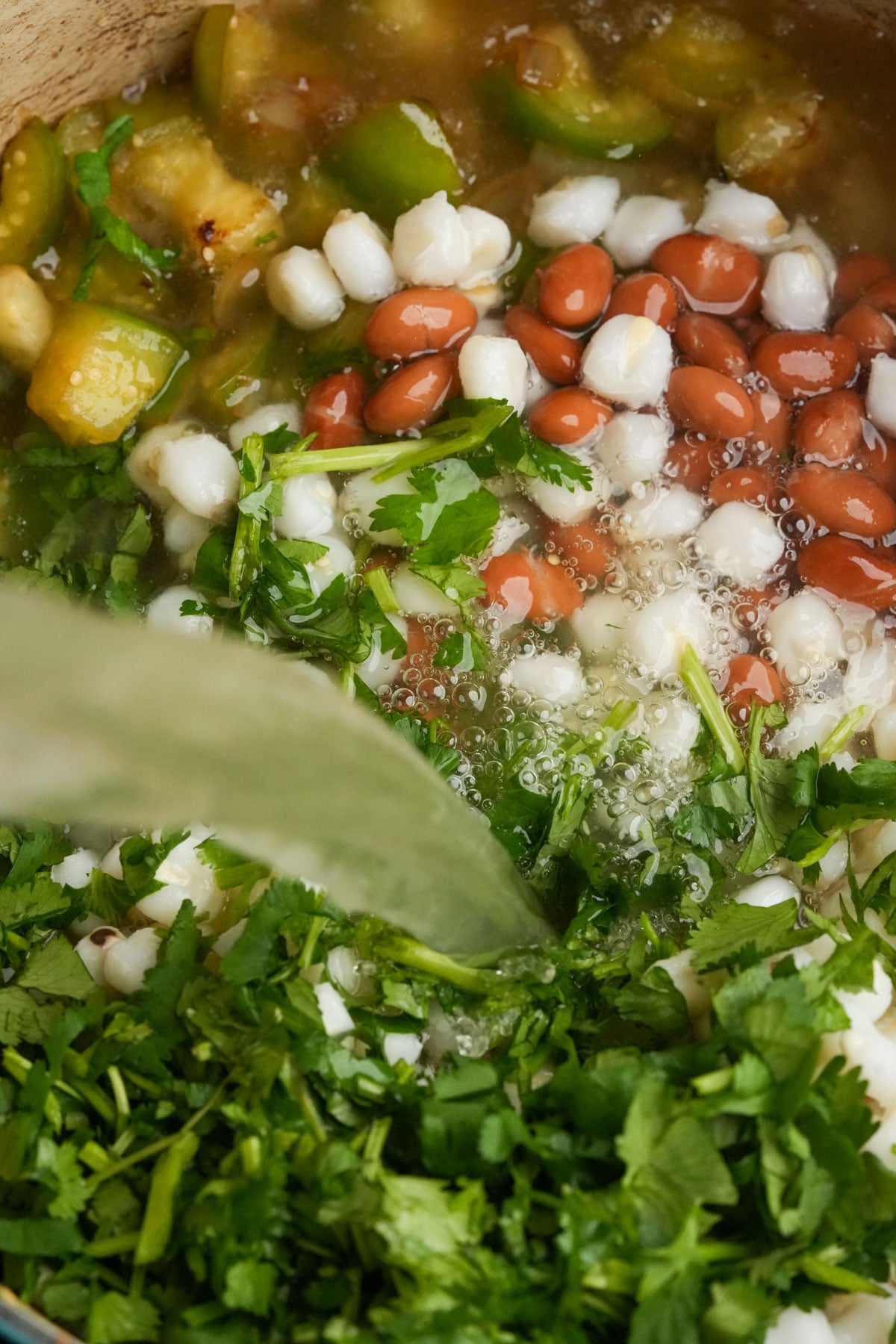 Chopped cilantro, hominy, brown beans, and green vegetables are simmering in broth in a pot to make vegan pozole verde.