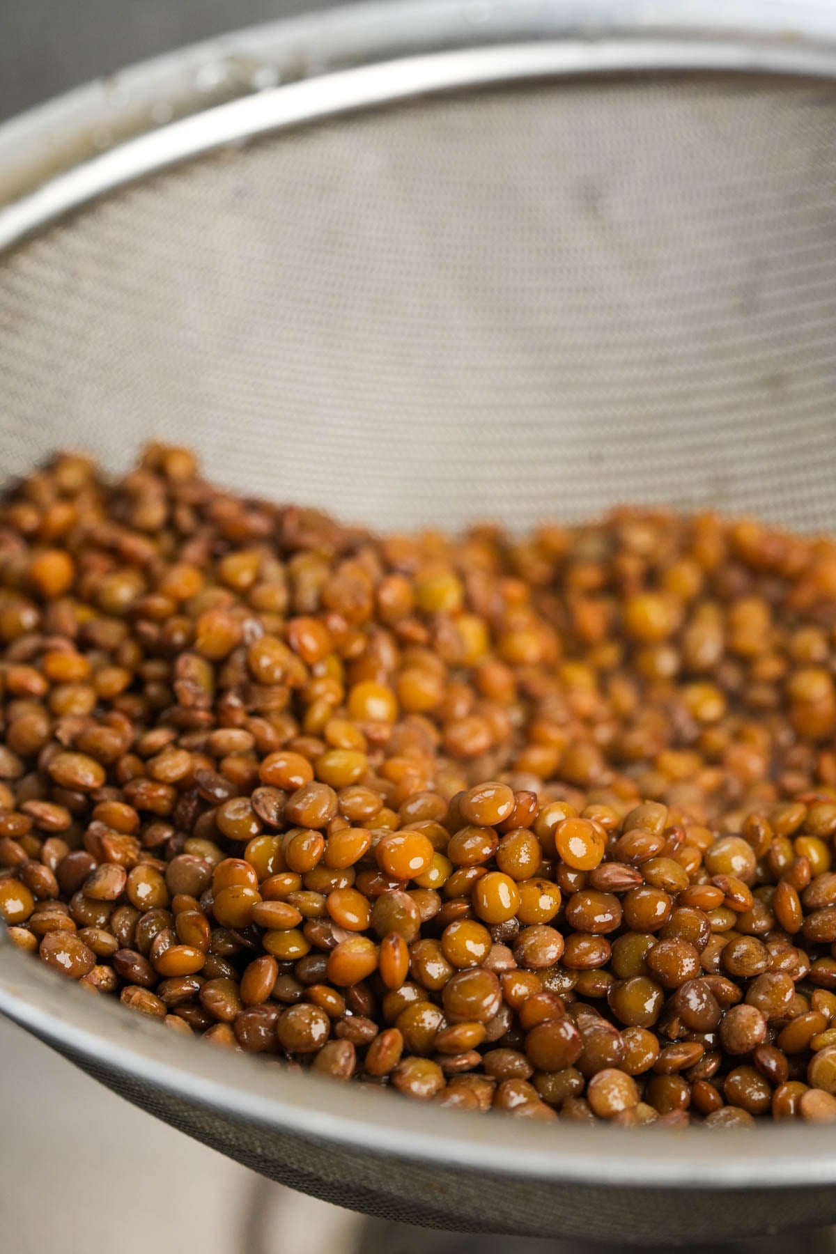 A close-up of cooked brown lentils being drained in a metal mesh strainer.