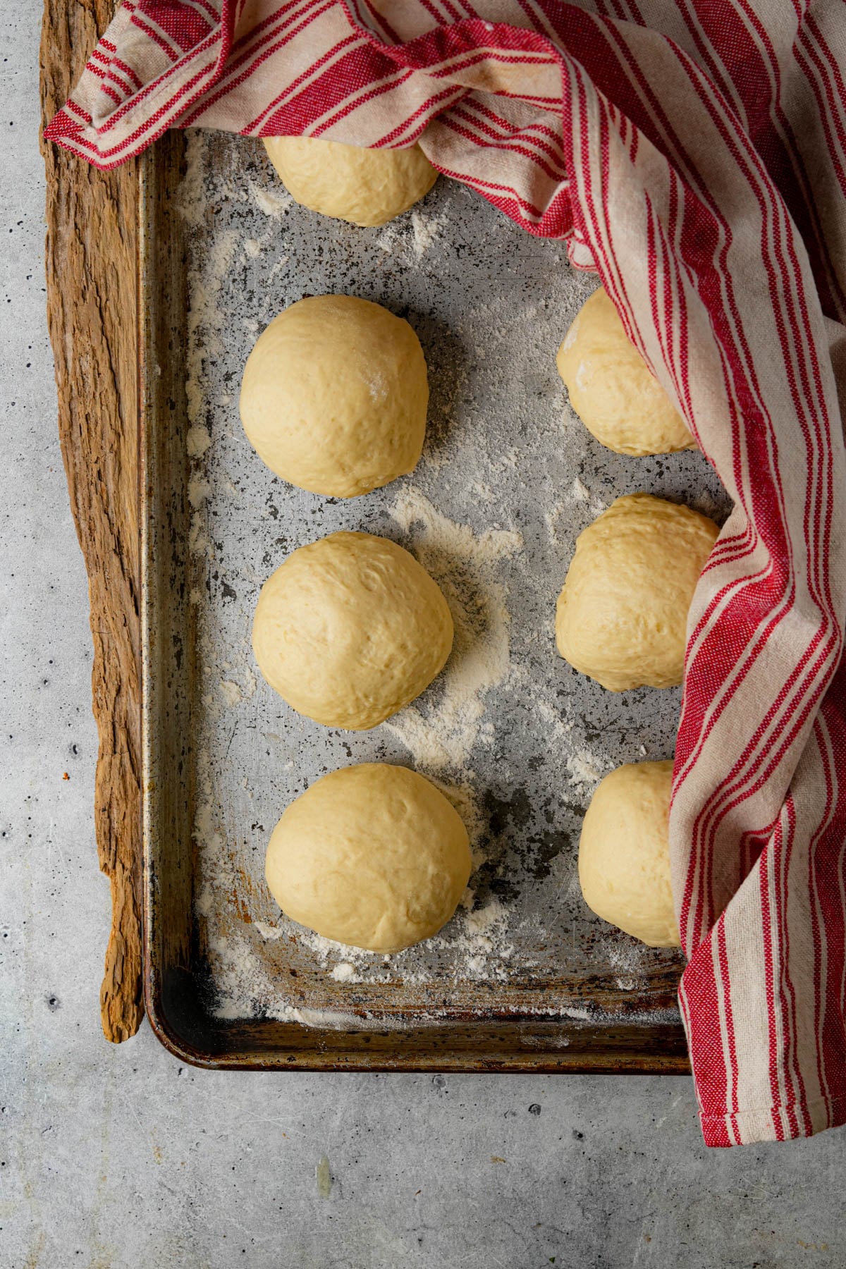Seven bazlama dough balls rest on a floured baking sheet, partially covered by a red and white striped cloth, ready to rise.