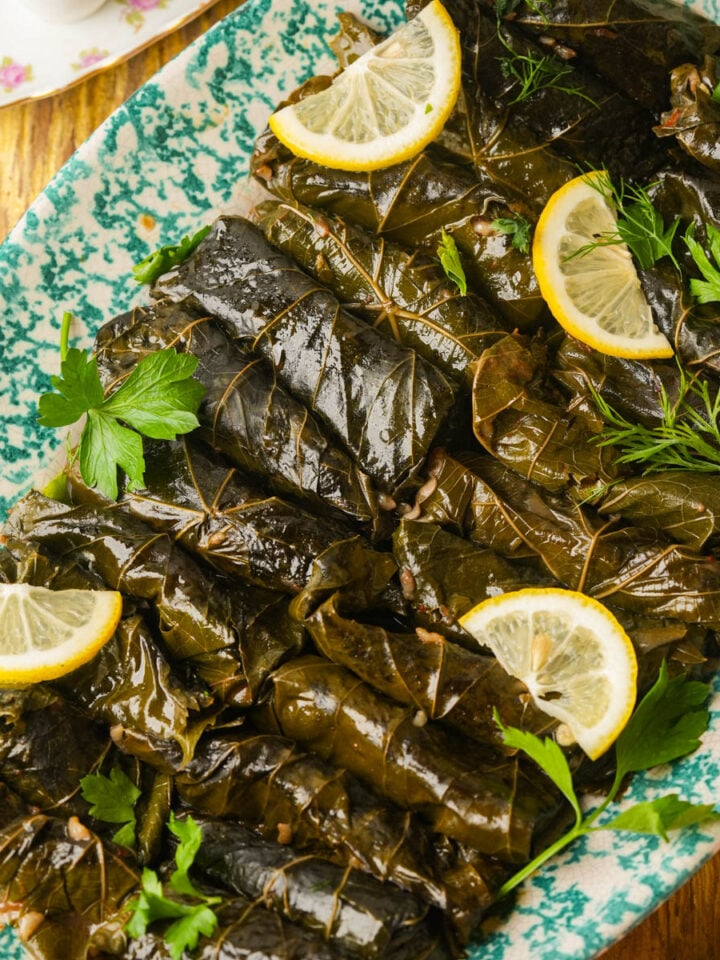 A platter of stuffed yalanji garnished with lemon slices and fresh herbs, served on a green and white patterned dish on a wooden table.