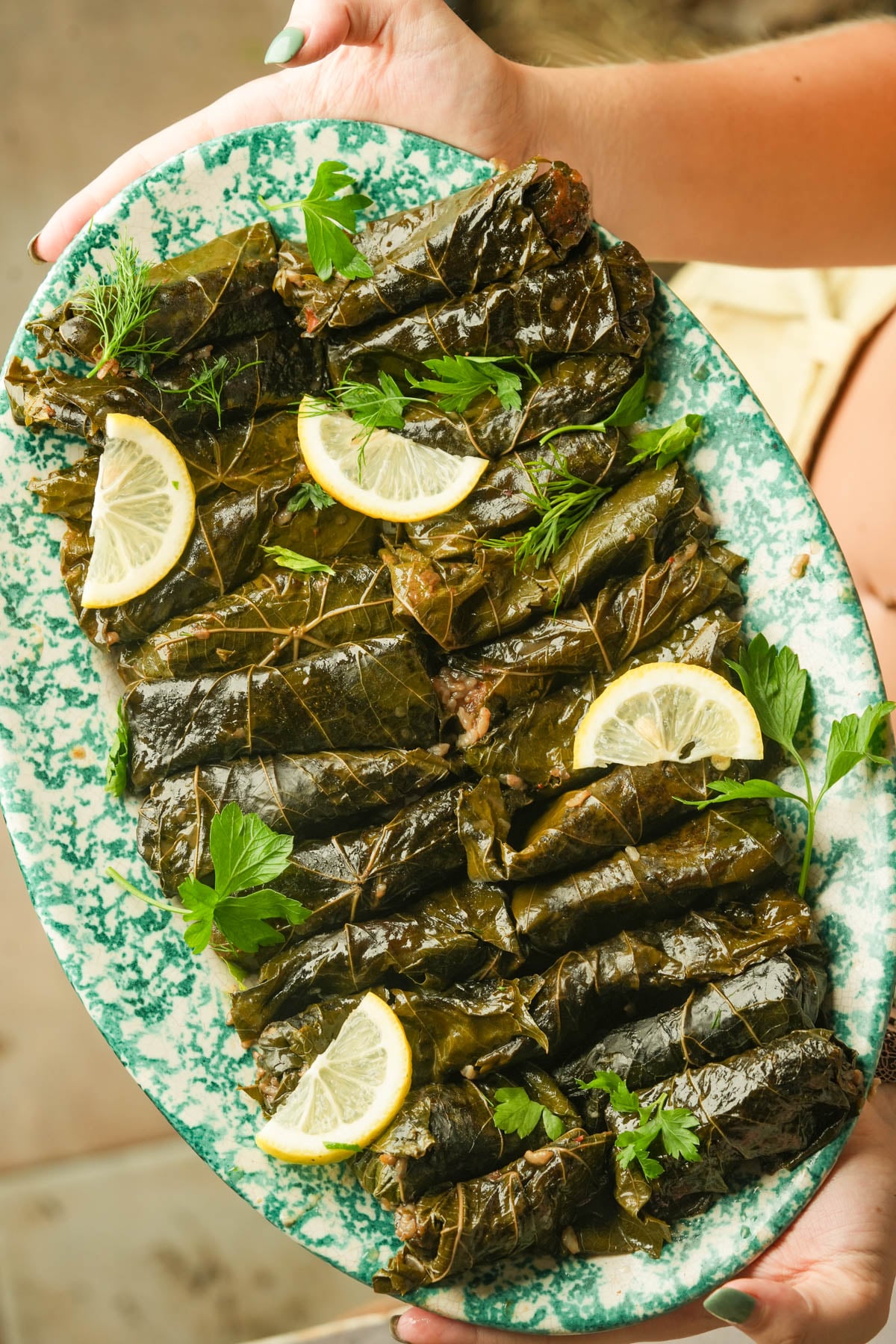 A hand holds a green-speckled platter filled with yalanji rolls, garnished with fresh dill, parsley, and lemon slices.