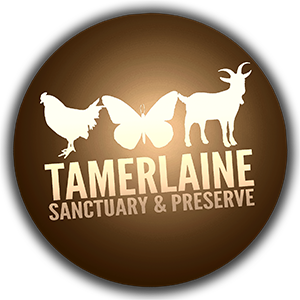 Tamerlaine Sanctuary and Preserve logo
