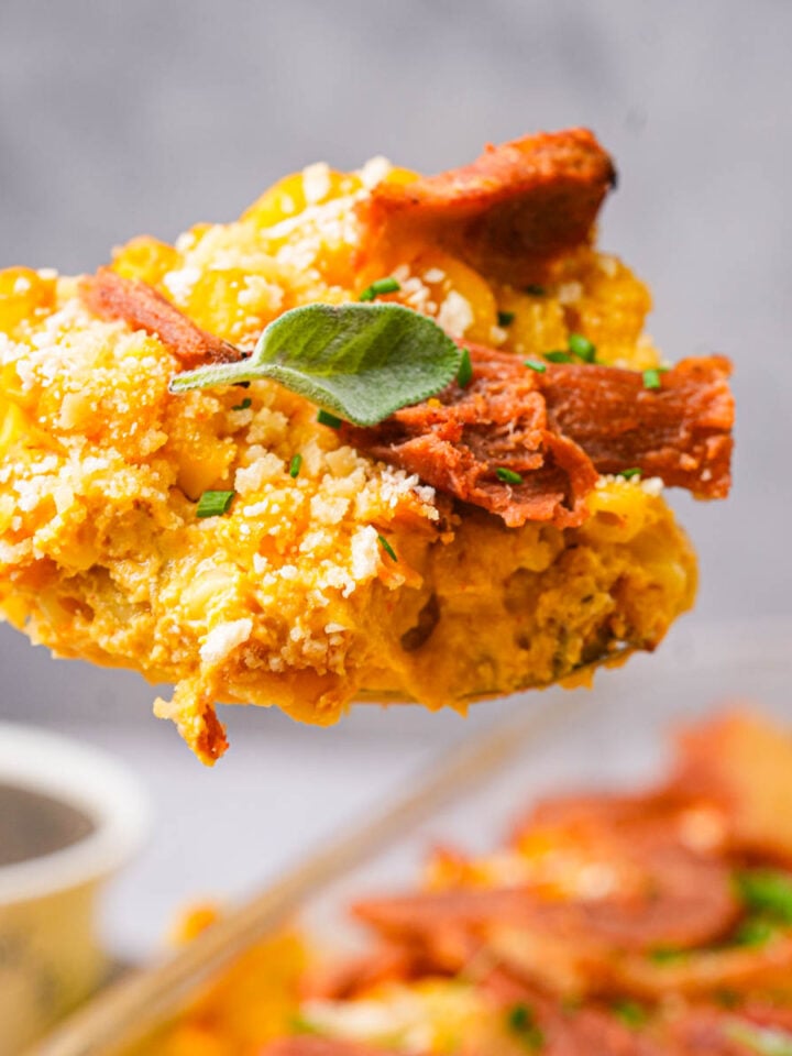 A fork holding a vegan pumpkin mac and cheese topped with crispy bacon, herbs, and grated cheese, with a blurred casserole dish in the background.